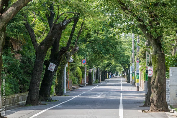 Obraz 成城学園周辺の風景