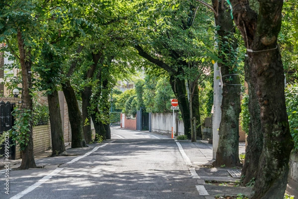 Obraz 成城学園周辺の風景