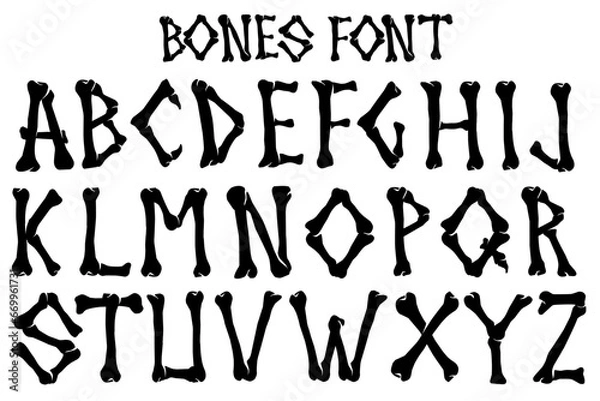 Fototapeta Skeletal Alphabet A to Z Vector Illustrations for Bone Font Graphics