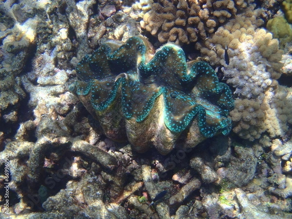 Obraz OLYMPUS DIGITAL CAMERA