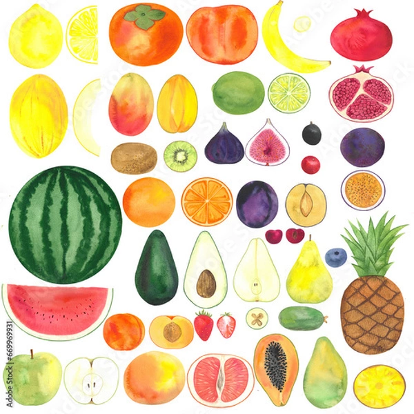 Fototapeta set hand drawn watercolor fruits, illustration for a farm shop or vegetable market, exotic fruits for a healthy diet
