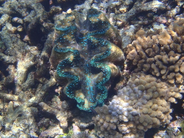 Obraz OLYMPUS DIGITAL CAMERA