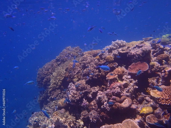 Obraz OLYMPUS DIGITAL CAMERA