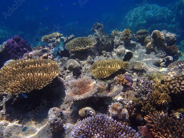 Obraz OLYMPUS DIGITAL CAMERA