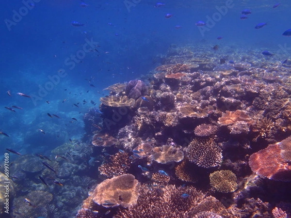 Obraz OLYMPUS DIGITAL CAMERA