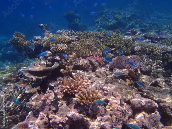 Obraz OLYMPUS DIGITAL CAMERA