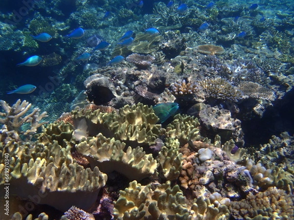 Obraz OLYMPUS DIGITAL CAMERA