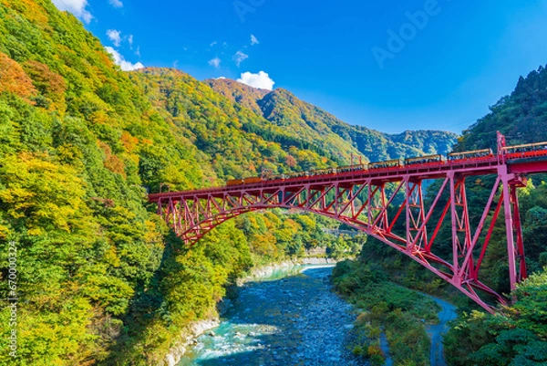 Fototapeta 色づき始めた黄葉と黒部峡谷の新山彦橋を渡るトロッコ列車