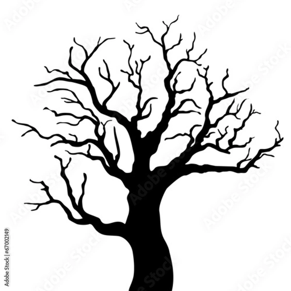 Obraz Tree silhouette with leaves on white background.