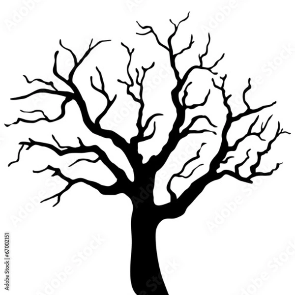 Obraz Tree silhouette