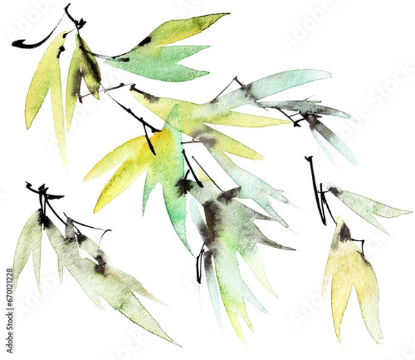 Obraz Tree branch with leaves