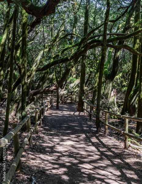 Fototapeta Views around La Gomera Island, The Caneries