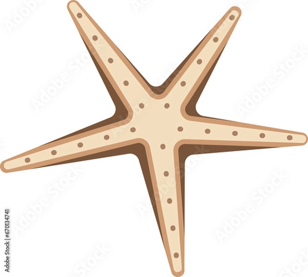 Obraz starfish in summer