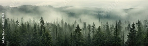 Fototapeta Forest background with fog around trees, dark green panorama. Walpaper background. Panorama gernerative ai