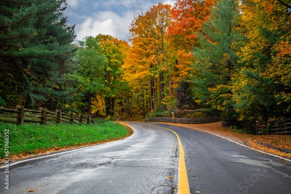 Obraz road in autumn forest