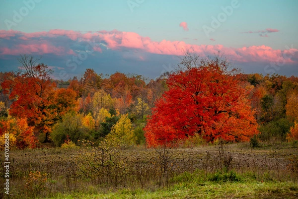 Obraz autumn landscape in the autumn