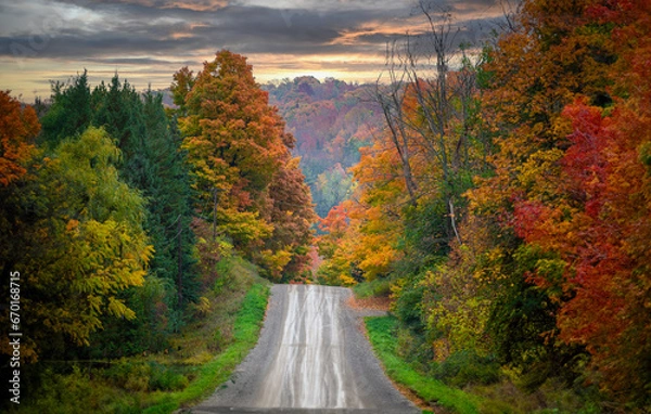 Obraz autumn in the forest