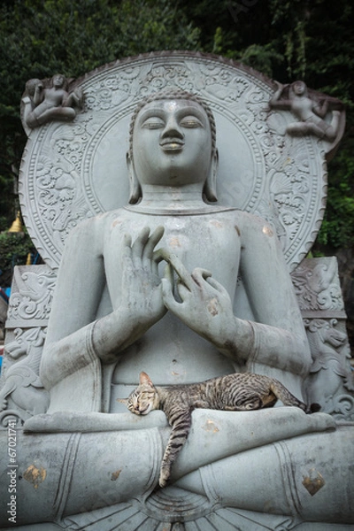 Obraz Cat sleeping on the lap Buddha statues.