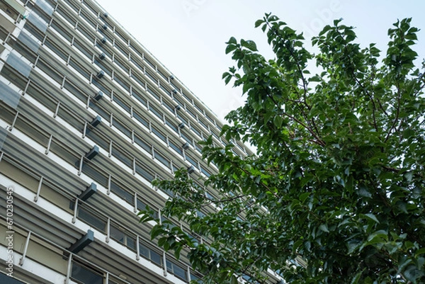 Obraz Rotterdam summer 2022