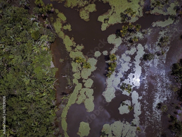 Obraz Alagados - flooded