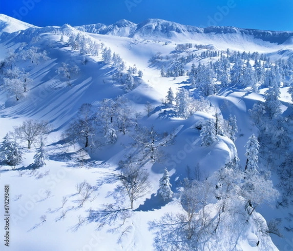 Obraz 十勝岳連峰の冬（上富良野町）