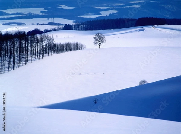 Obraz 光と影のある丘（美瑛町）