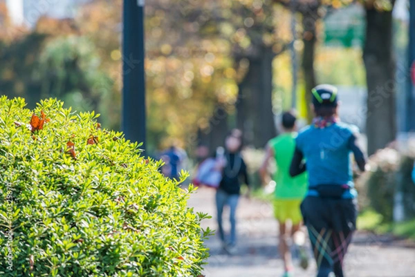 Obraz 皇居周辺の風景