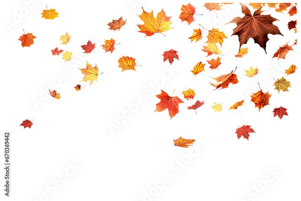 Obraz colorful autumn leaves falling on an isolated transparent background