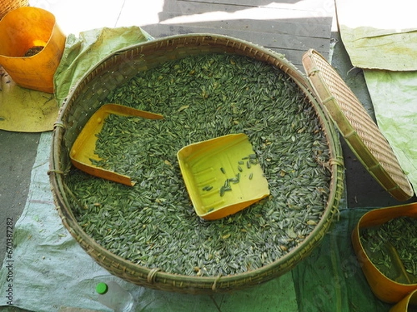 Obraz OLYMPUS DIGITAL CAMERA