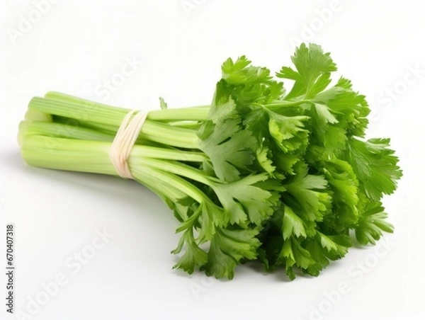 Fototapeta Fresh leaf celery isolated over a white background