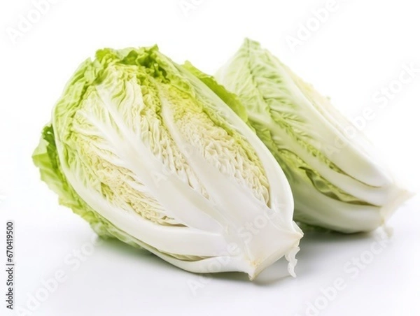 Obraz Napa cabbage isolated on white background