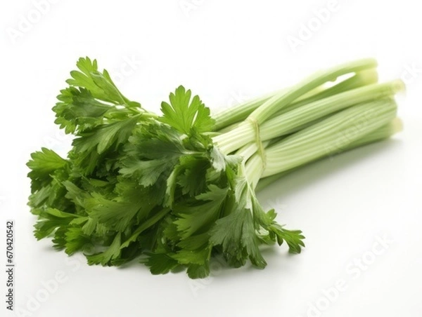 Obraz Fresh leaf celery isolated over a white background