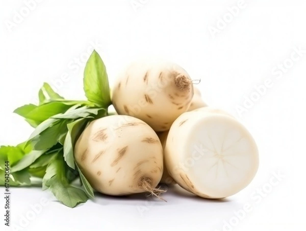 Obraz jicama isolated on white background