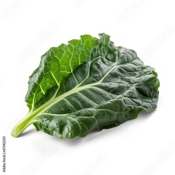 Obraz Collard greens isolated on white