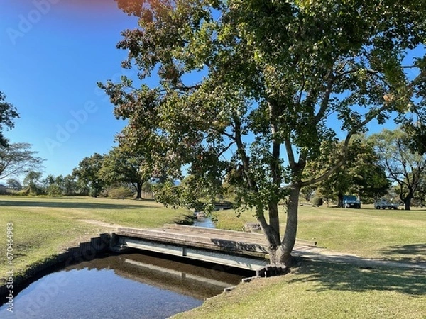 Fototapeta とても天気の良い日