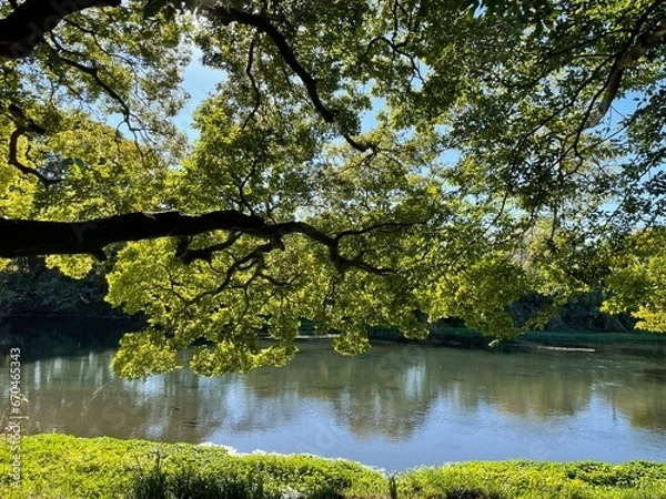 Obraz とても天気の良い日