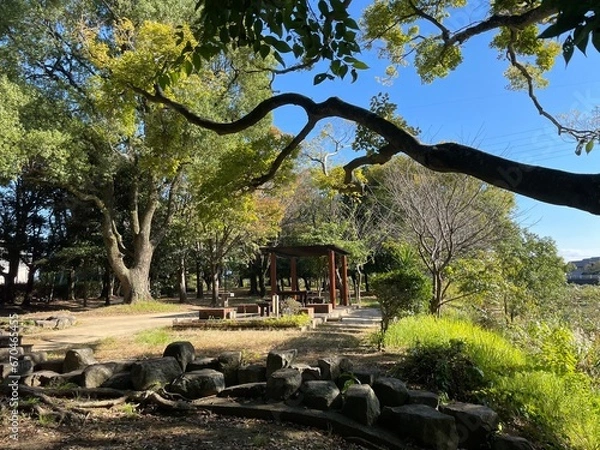 Obraz とても天気の良い日