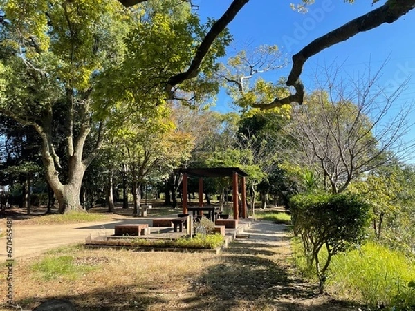 Obraz とても天気の良い日