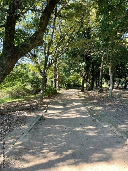 Fototapeta とても天気の良い日