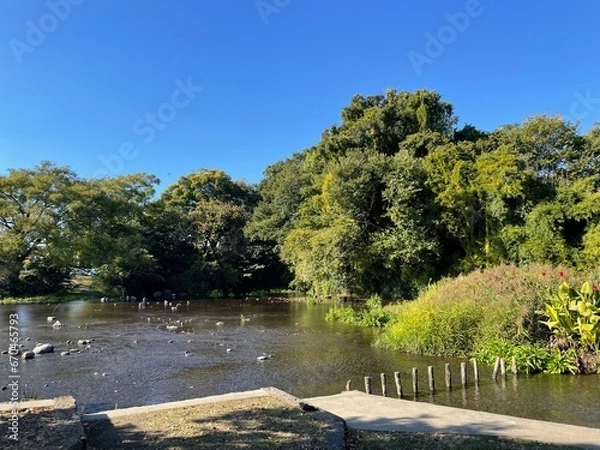 Fototapeta とても天気の良い日