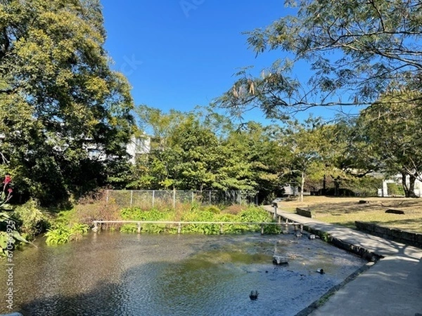 Fototapeta とても天気の良い日
