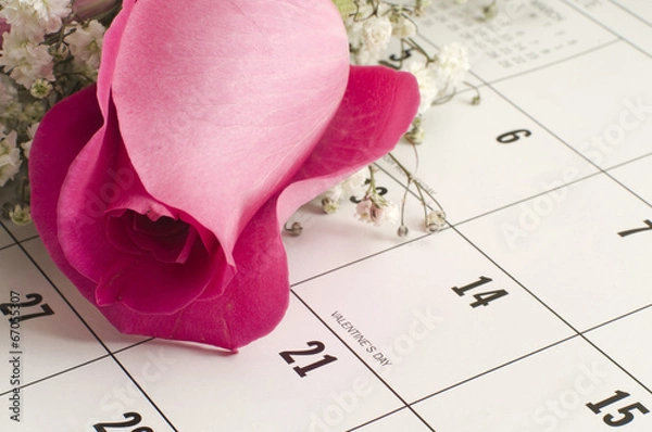 Obraz Single Rose on Calender