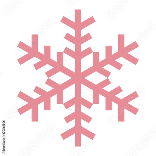 Obraz Snowflake