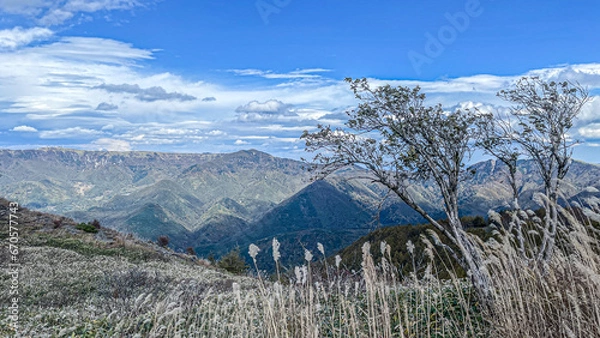 Obraz ススキの野原と青い空
