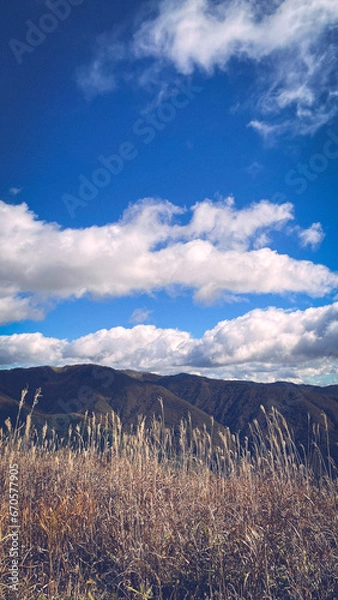 Obraz snow covered mountains