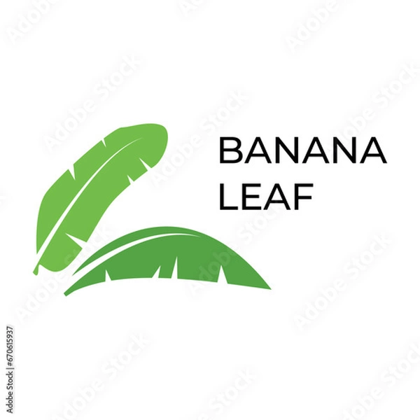 Obraz banana leaf logo icon vector symbol illustration design