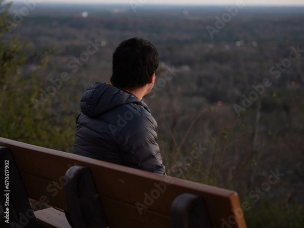 Obraz Looking into the landscape