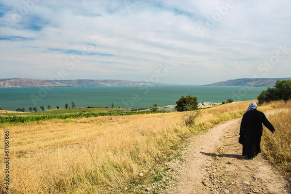 Obraz Path to place of Sermon on the Mount