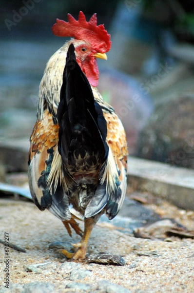 Obraz Where's everybody go?