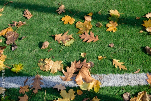 Obraz Autumn fallen leaves on the artificial turf of a football field